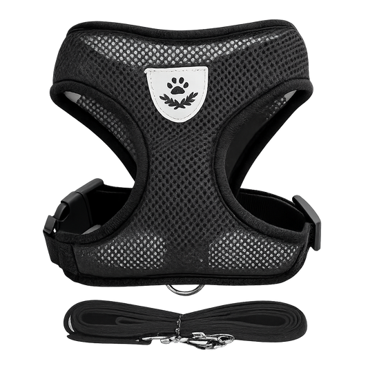Adjustable Breathable Cat Harness Vest & Leash Set