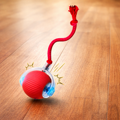 EngageBall™ Smart Dog Toy + ClubPaws