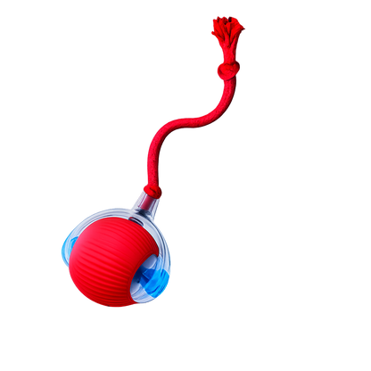 EngageBall™ Smart Dog Toy + ClubPaws
