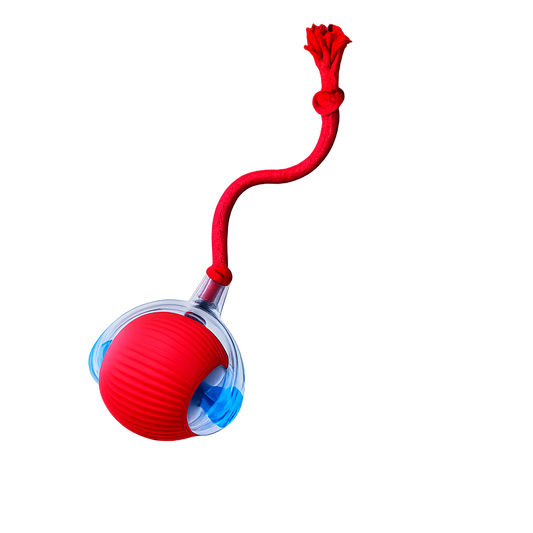 EngageBall™ Smart Dog Toy + ClubPaws