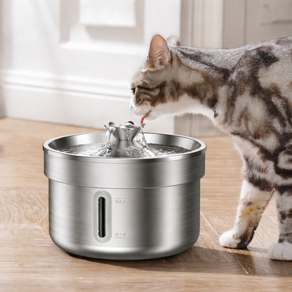 Automatic Stainless Steel Pet Water Fountain – Cat & Dog – ClubPaws
