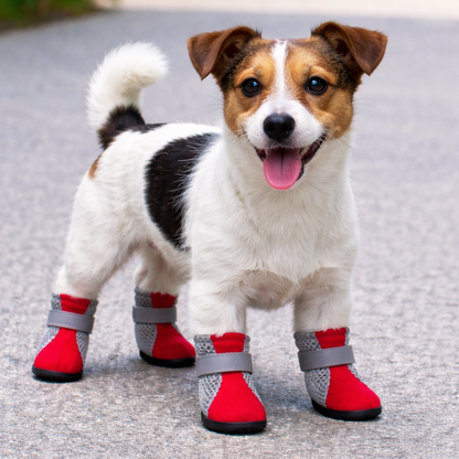Anti-Slip Dog Boots Paw Shoes 4 Pack