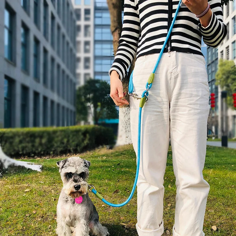 Nylon Reflective Dog Leash – Hands-Free – ClubPaws