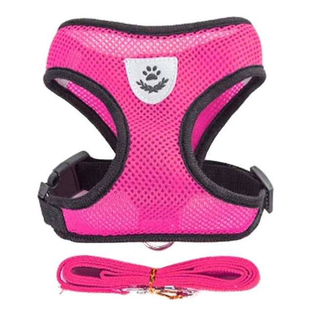 Adjustable Breathable Cat Harness Vest & Leash Set