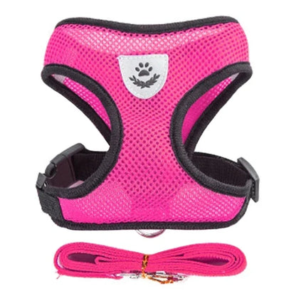 Adjustable Breathable Cat Harness Vest & Leash Set