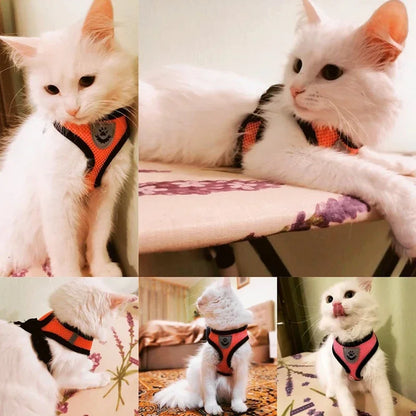 Adjustable Breathable Cat Harness Vest & Leash Set
