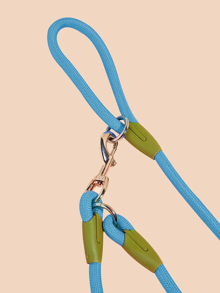 Nylon Reflective Dog Leash – Hands-Free – ClubPaws