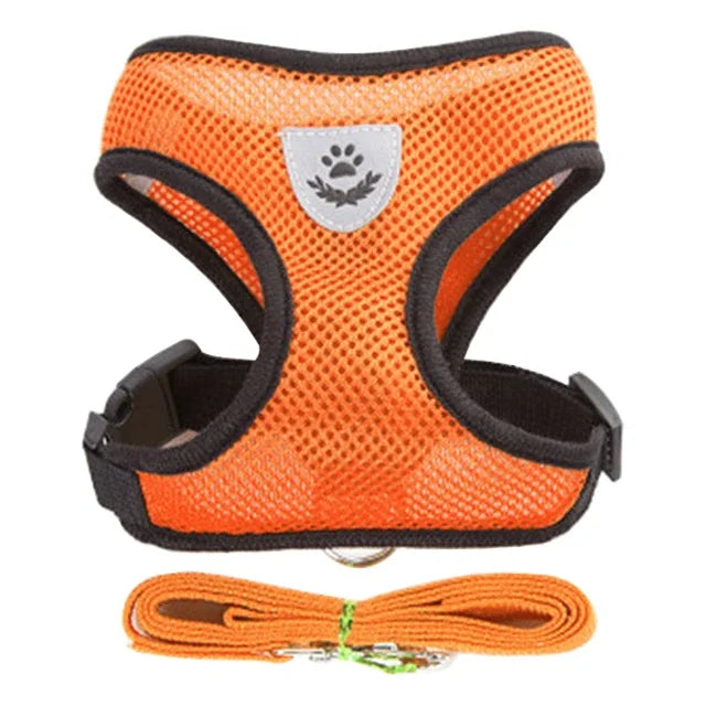 Adjustable Breathable Cat Harness Vest & Leash Set