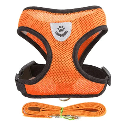 Adjustable Breathable Cat Harness Vest & Leash Set