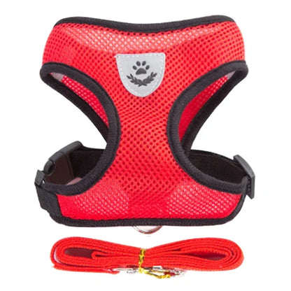 Adjustable Breathable Cat Harness Vest & Leash Set