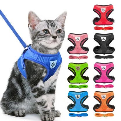 Adjustable Breathable Cat Harness Vest & Leash Set