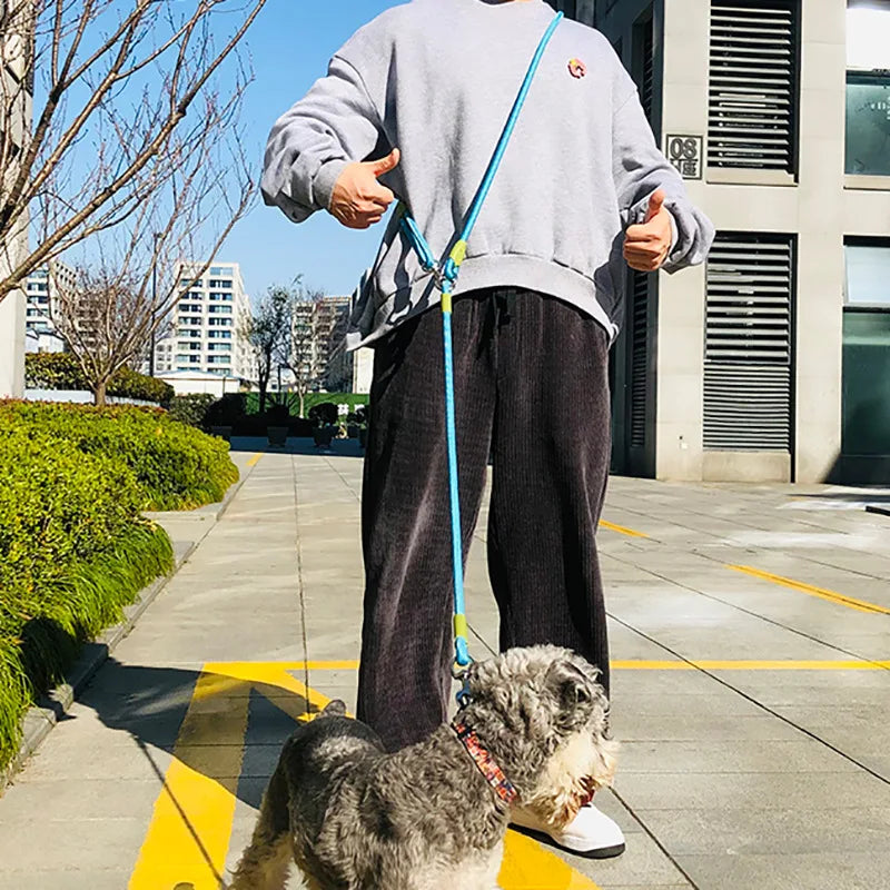 Nylon Reflective Dog Leash – Hands-Free – ClubPaws