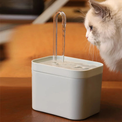 Automatic Pet Water Fountain – Ultra-Quiet 1.5L – ClubPaws