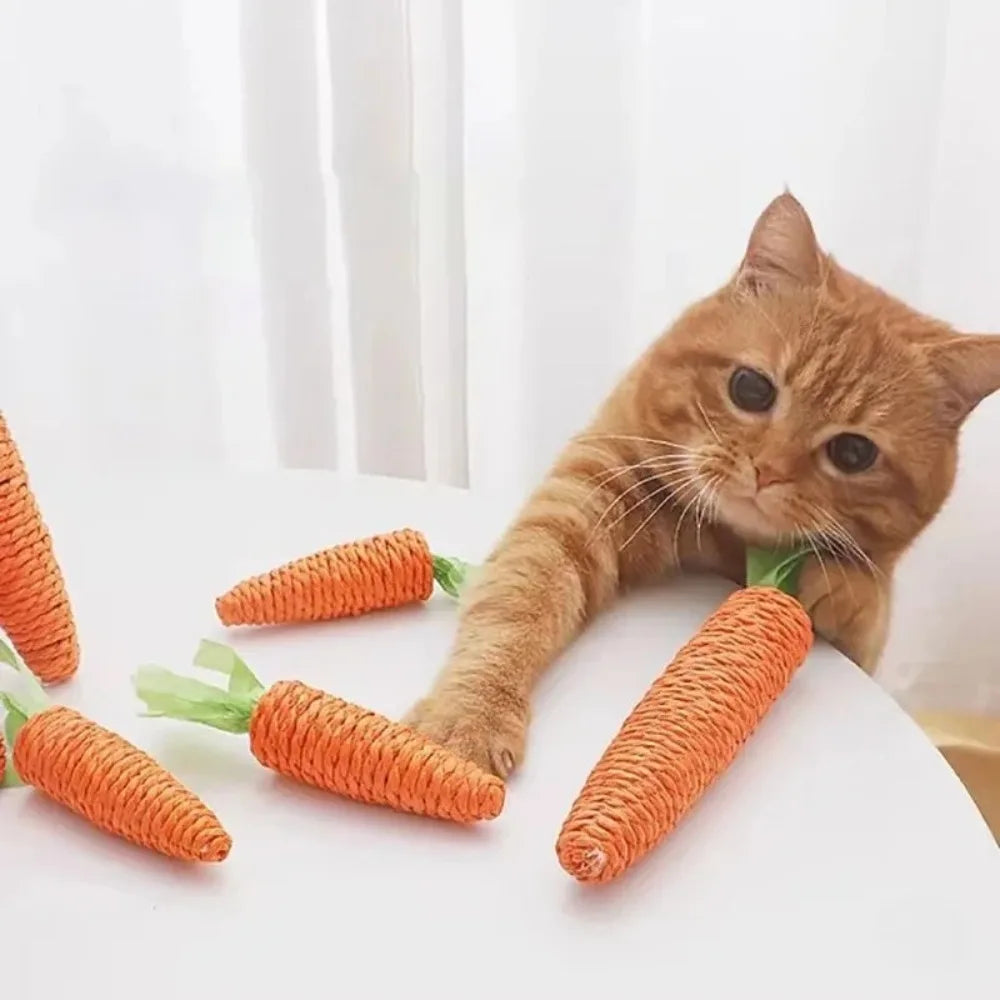 Cat Bite & Scratch Carrot Toy with Sound