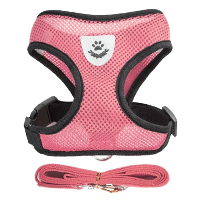 Adjustable Breathable Cat Harness Vest & Leash Set