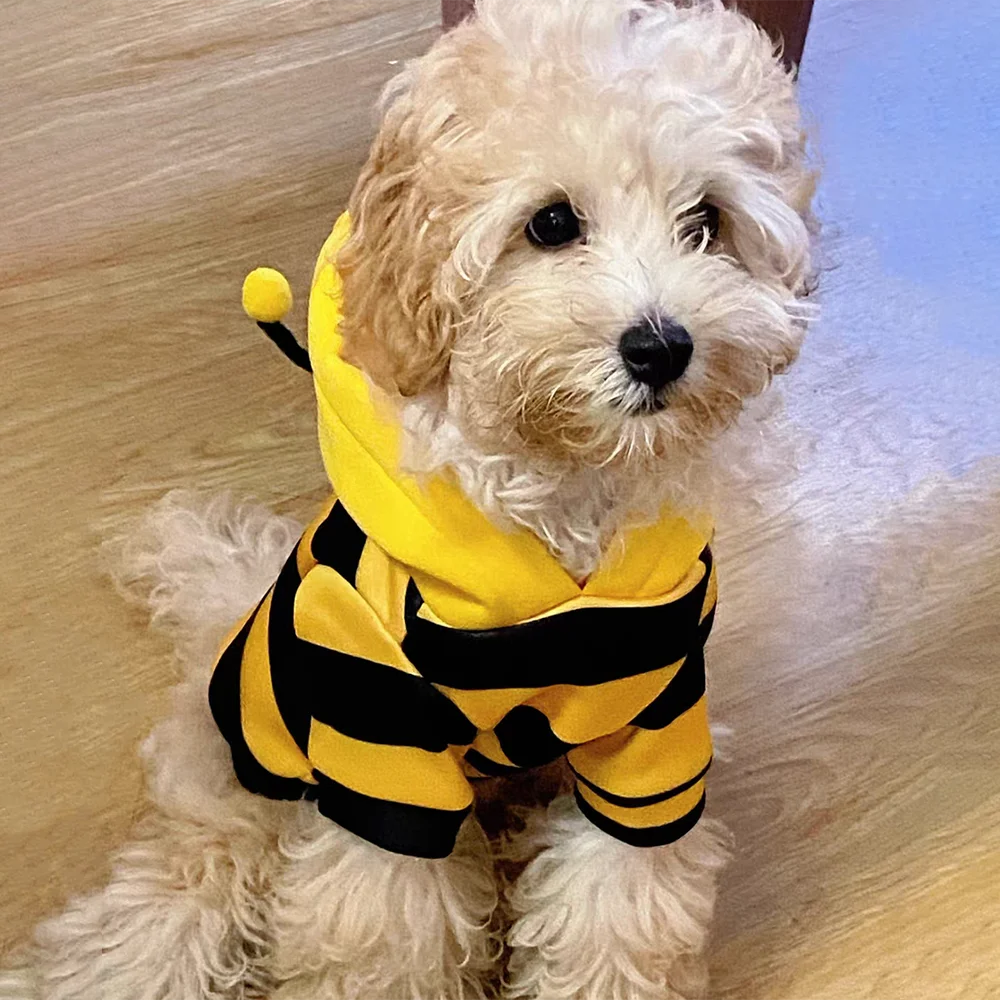 Bee Pet Costume Hoodie for Cats & Dogs